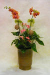Orchid Phalaenopsis Gift Set - CODE 11992